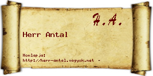 Herr Antal névjegykártya