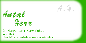 antal herr business card